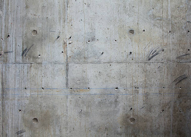 Best Custom Concrete Contractor  in Warrensburg, MO